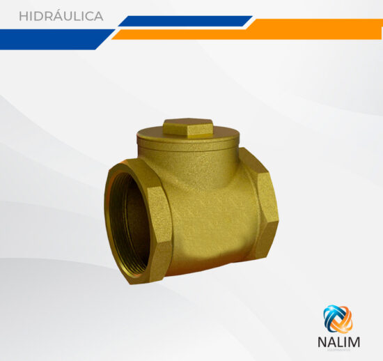 Válvula de Retenção Horizontal PN16