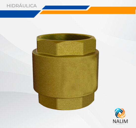 Válvula de Retenção Vertical PN16