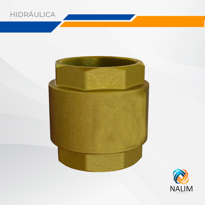 Válvula de Retenção Vertical PN16
